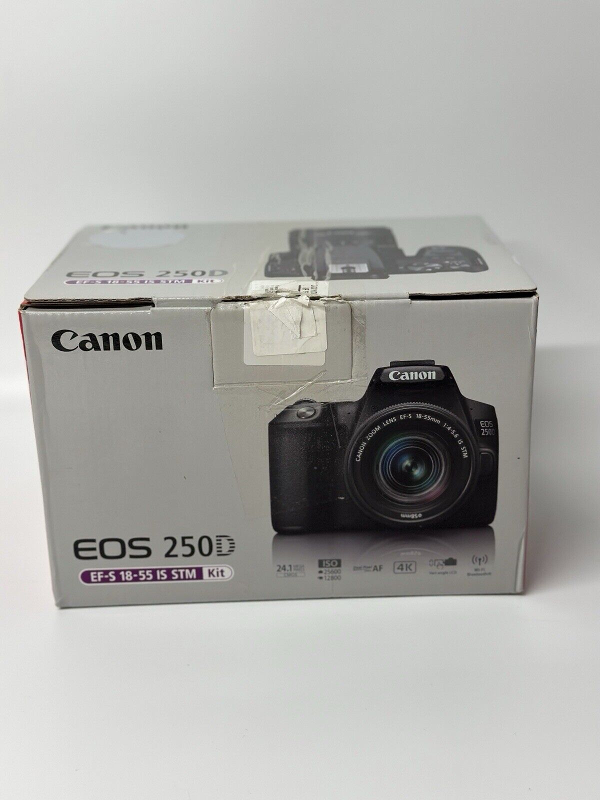 Canon EOS 250D 24.1 MP Digital SLR Camera - Black