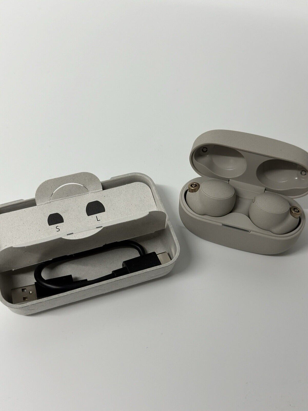 Sony WF-1000X4 Wireless Earbuds 