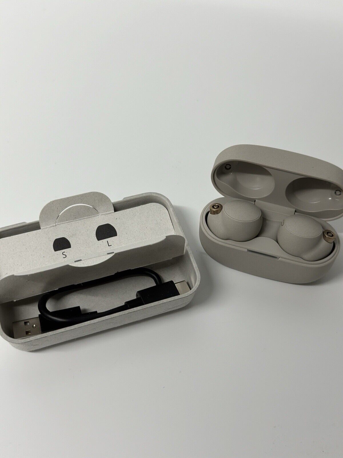 Sony WF-1000X4 Wireless Earbuds 