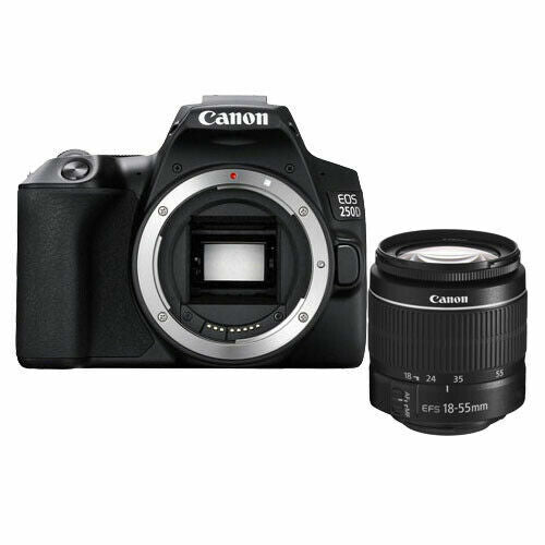 Canon EOS 250D 24.1 MP Digital SLR Camera - Black